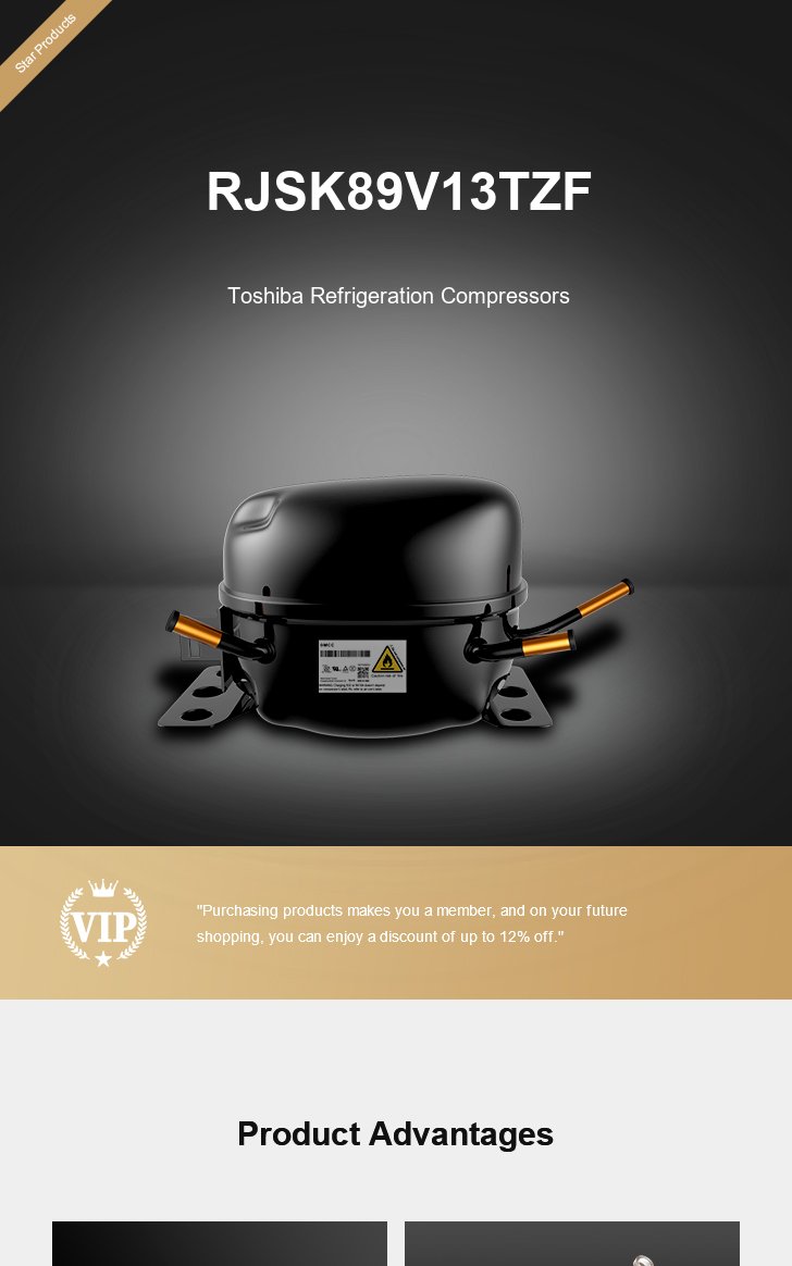 Toshiba Compressor RJSK89V13TZF, technical parameters pdf, structure diagram